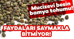 Bamya Tohumunun Faydalari Neler Ve Nasil Kullanilir Bamya Tohumu Ne Ise Yarar Nelere Iyi Gelir Bu Tohum Zayiflatir Mi Sabah