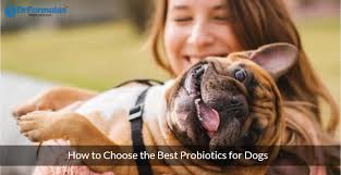 Where do you all buy cuttings online??