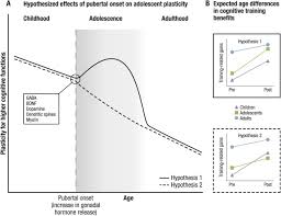 Maybe you would like to learn more about one of these? The Relationship Between Pubertal Hormones And Brain Plasticity Implications For Cognitive Training In Adolescence Sciencedirect