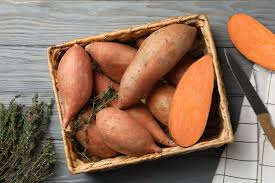 May 12, 2021 · look for transplants that are about 6 to 9 inches long. How To Grow Sweet Potatoes In Your Backyard Planting And Harvesting Sweet Potatoes