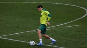 Mas, apesar do resultado, o desempenho do alviverde em campo foi aquém do que o técnico abel ferreira esperava. 9yj7zg8d2xi5im