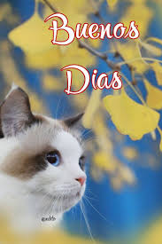 Pin de Fernando Mariscal en Buenos Dias