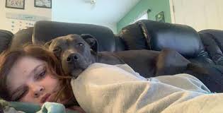 Who is the dog groomer in Great Falls, Montana, that groomed pups in June  2022?