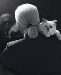 Quotes Black White Photography Karl Lagerfeld Pin By Mercedes Lopez Maroto On Moda Karl Lagerfeld Choupette Karl Lagerfeld Lagerfeld