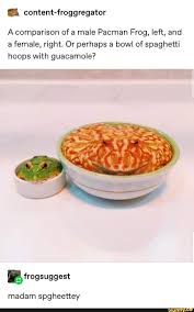 Content Froggregator A Comparison Of A Male Pacman Frog Left And A Female Right Or Perhaps A Bowl Of Spaghetti Hoops With Guacamole Ifunny Pacman Frog Frog Cute Frogs