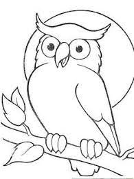  Coloring Book Pages In 2021 Owl Coloring Pages Owls Drawing Animal Coloring Pages