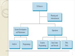 The Organizational Structure Managers And Activities Ppt