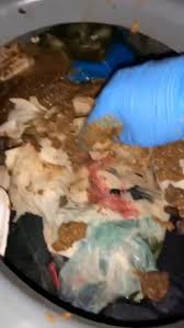 Portapottyqueen's extreme portable toilet escapade full video - the ultimate chapter in her grimy story