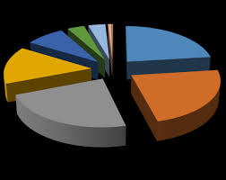 Image result for Syngonanthus poggeanus