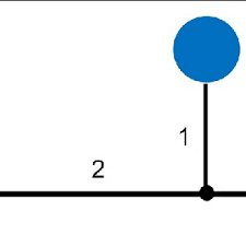 Image result for Melastomastrum segregatum