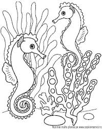 0 ratings0% found this document useful (0 votes). 2017 Animale Caluti De Mare Desene De Colorat 35 Butterfly Coloring Page Coloring Pages Animal Coloring Pages