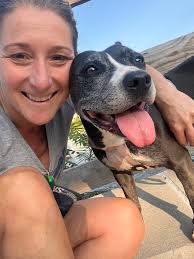 The Waterfront Collection