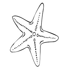 Estrella De Mar Colorear