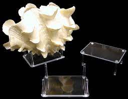 Receive (1) display stand per number ordered. Display Stands For Sealife