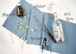 Der Star Der Gemmotherapie Die Knospen Der Schwarzen Johannisbeere Schwarze Johannisbeere Johannisbeeren Heilpflanzen