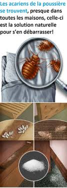 Pin On Sante