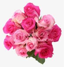 Download transparent pink flower png for free on pngkey.com. Pink Flowers Png Images Free Transparent Pink Flowers Download Kindpng
