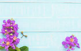 Check spelling or type a new query. Wallpaper Flowers Background Tree Blue Board Wood Blue Flowers Purple Images For Desktop Section Cvety Download