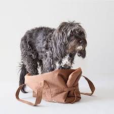 Is There Something Wrong Mama Pattifurry Canta Ve Yatak Seklinde Kullanilabilir Su Gecirmez Dayanikli Yaninizdan Hic Ayiramay Furry Dog Design Several Cat