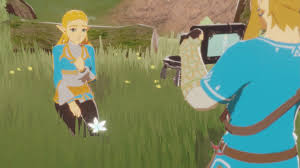 lvl3toaster Zelda fandom - provocative Link Princess Zelda Breath of the Wild allure