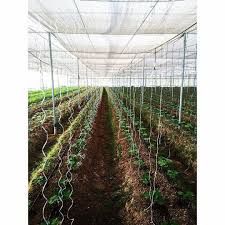 Akshay Chaudhary Photography On Instagram Net House Farming Modern Agriculture Polyhouse Climatecontrol Climatechange Diy Greenhouse Farm Agriculture