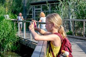 Zit Jouw Kind In Groep 7 Groep 8 Of De Brugklas Dan Mag Je Op Zoek Naar Een Leuke Vakantie Met Pre Pubers Onze Beste Tips En Ideee Vakantie Gezinnen Tieners