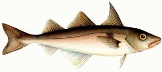 It is a low carb, high fat meal which is perfect for anyone following a ketogenic diet. Best Fish And Seafood On A Keto Diet Reveals Best Fish To Eat On Keto