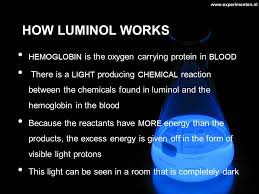 Chemiluminescent reagent for wb detection of proteins bound to hrp conjugated antibodies. By Ayesha Khawar Catherine Lopez Rebecca Murphy And Sadie Azizi Ppt Video Online Download