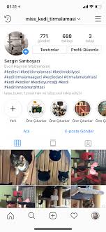 Miss Kedi Tirmalamasi Adli Kullanicinin Sosyal Medya Hesaplarimiz Panosundaki Pin Evcil Hayvan Malzemeleri Hayvan Kedi Evi