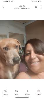 Lost and found or stolen pets‼️