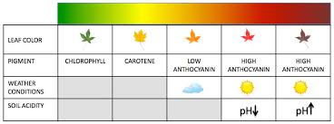 18 Memorable Weed Leaf Color Chart