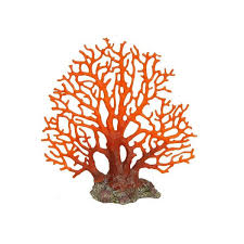 Related:aquarium decorations reef aquarium coral reef aquarium decorations large aquarium decorations cave aquarium decorations plants plastic fish tank decorations aquarium fake coral aquarium decoration simulation underwater plants fish tank decor. Betta Large Red Sea Fan Coral Aquarium Ornament Fish Tank Aquatic Decoration