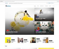 Use the divi theme as your complete website design solution, or install the divi plugin and use it with any third party theme. Best Magazine Wordpress Themes 2018 Themetim