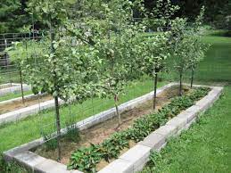 Firstly, the vegetable garden can enjoy full sun. Part 2 How To Design Your Own Miniature Fruit Garden Abundant Mini Gardens