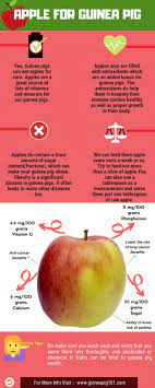 Pin On Animal Health