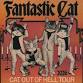 Fantastic Cat