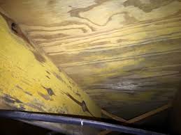 No comments how to remove mold from basement walls a step by guide simple preventative tips keep and mildew out of your waterproof com concrete doityourself 11 get rid what does look like waterproofing inc you need know about flooding cleaning the network green white yellow black on wall cinder blocks hound in. Cleveland Mold Remediation Gallery Photos Of Black Mold Removal Sanitizing More