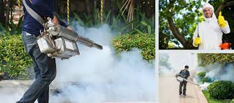 * the main insects commonly founds the kitchens and food these insects are knock downed by our treatment and the insects which are hiding forced to come out being died. Commercial Services Deptford Se8 Call Now 020 8166 9746