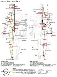 List Of Acupuncture Points Wikipedia
