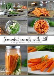 Fermented Carrots With Dill Fermenting Foods Is An Ancient Method Of Preservation And Also Provides A Hos Fermented Foods Real Food Recipes Fermented Veggies