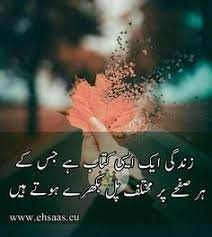 Here we will share best urdu quotes. Relationship Goals Quotes Quotes For Book Lovers Love Poetry Urdu Urdu Thoughts