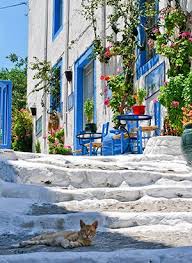 Bekijk 1.251 beoordelingen, 1.547 foto's en aanbiedingen voor hotel atlantis, gewaardeerd als nr.22 van 54 hotels in kos town en geclassificeerd als 4 van 5 bij tripadvisor. 7 Redenen Waarom Kos Een Fijn Eiland Is Voor Elke Leeftijd Griekenland Griekenland Eilanden Kos