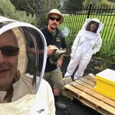 They hover near the nest and will dart after any other flying insect that ventures into their territory. Best Bee Exterminator Near Me July 2021 Find Nearby Bee Exterminator Reviews Yelp