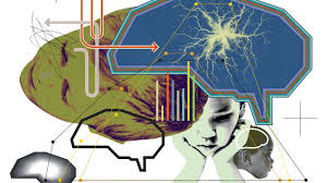Click here to learn more and download them now. The 4 Traits That Put Kids At Risk For Addiction The New York Times
