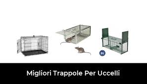 Test di una trappola a scatto per animali. 34 Migliori Trappole Per Uccelli Nel 2021 Recensioni Opinioni Prezzi