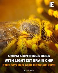 Interesting Engineering | Chinese scientists have developed the world's  lightest insect brain controller, a 74-milligram device that enables mind  control of bees.... | Instagram