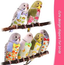 Vsell24 Washable Reusable 6Pc Bird Diaper Pads Inner Layer Parrot Nappy  Clothes for Parakeet Parrot Mini Macaw Budgie Canary Finches Lovebirds  Medium – VSell24