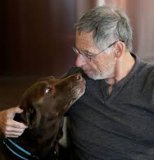 Tucson's mega-adoption event is your chance to connect with a furry friend