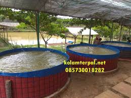 Diskon Menarik Jual Kolam Terpal Terbaik Dan Berkualitas