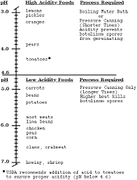 10 Detailed Fruit Values Chart